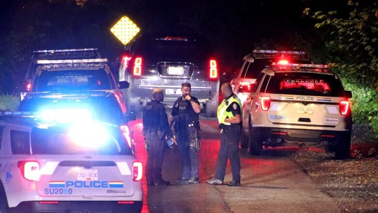 Three police officers stand near a collection of police vehicles with flashing lights.