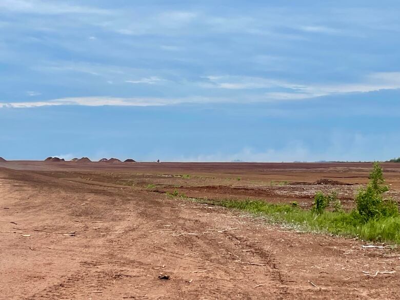 A view looking across the peat bog. The sky is blue and there are wisps of smoke on the horizon.