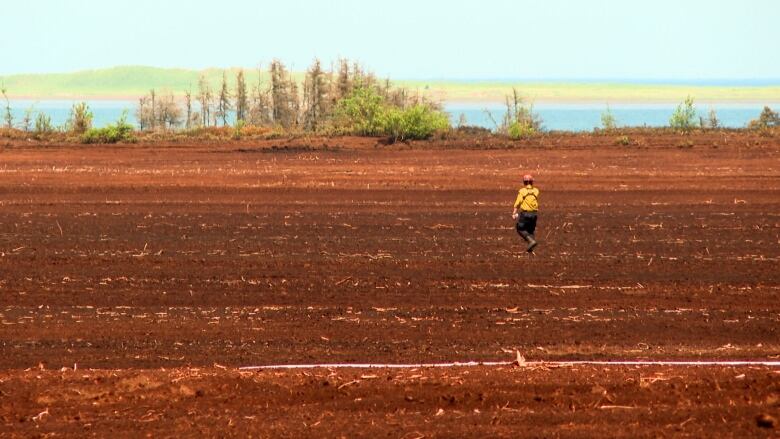 A firefighter walks across a peat moss field with the ocean in the background.