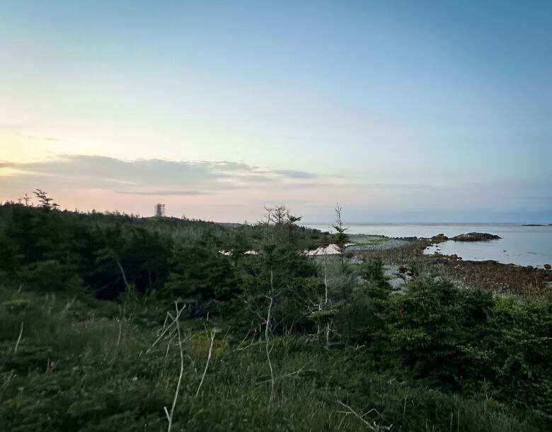 Dark photo with scrub trees in the foreground, water on the right and the sky becoming light to the left.