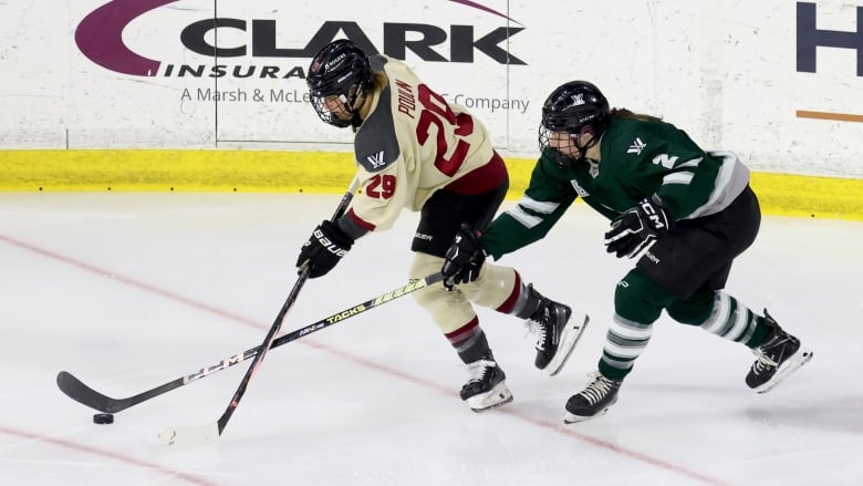 Two hockey players fight for the puck.