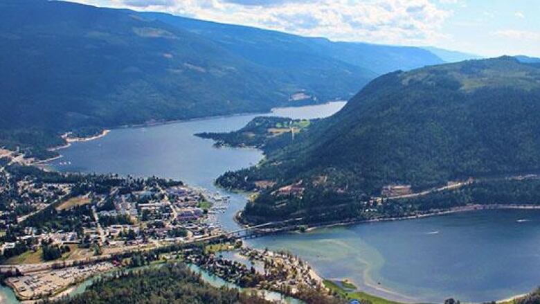 An aerial view of a small municipality showing houses and a waterfront with an island near the town.