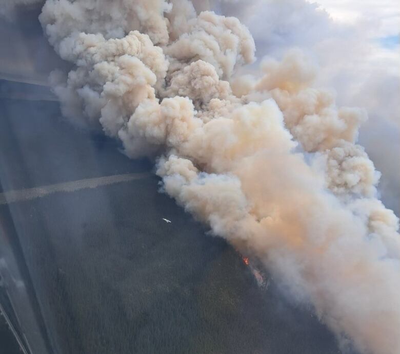 An aerial view of a forest fire.