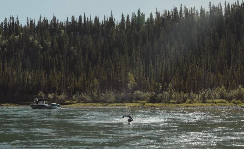 A swimmer is seen in a river with trees and a boat in the background.