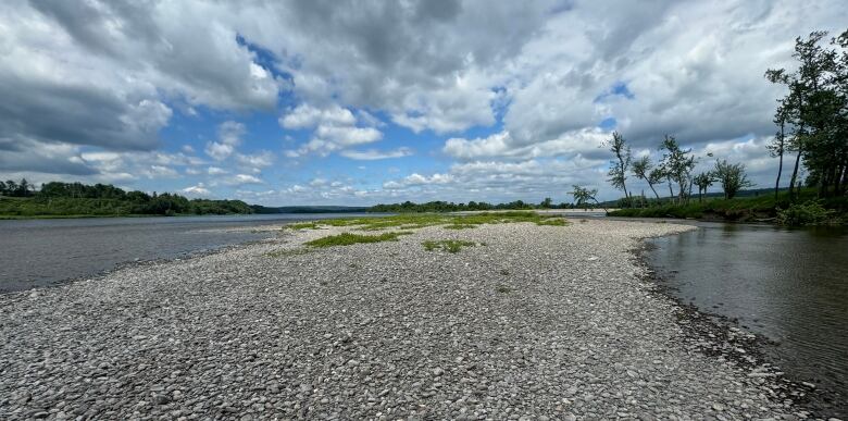 A rocky sandbar in a river. 