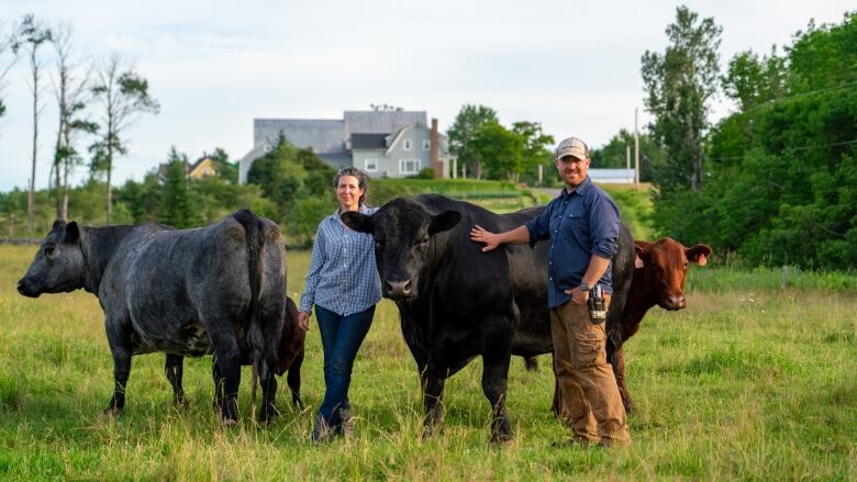 a couple stand amongst cattle 