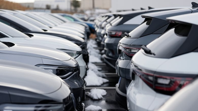 Two rows of cars, with dozens in each row, are picture from the narrow space between the two rows.