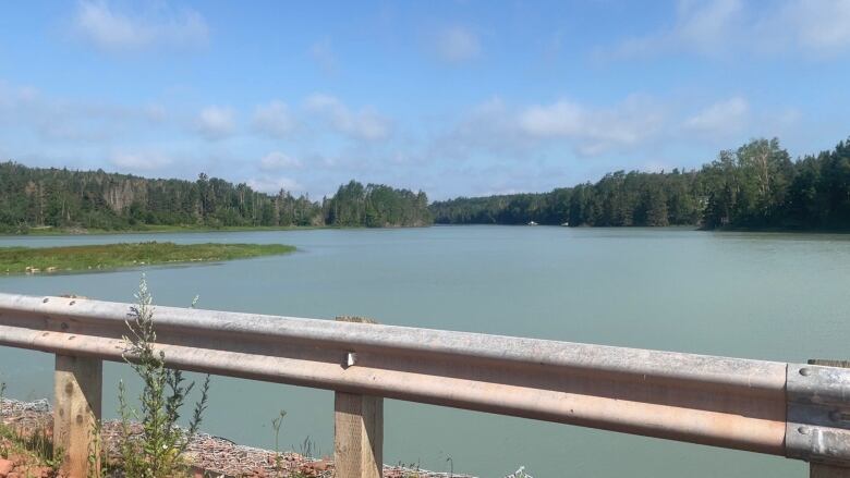 A large estuary with milky turquoise water. Trees are in the distance and a guardrail in the in foreground.  