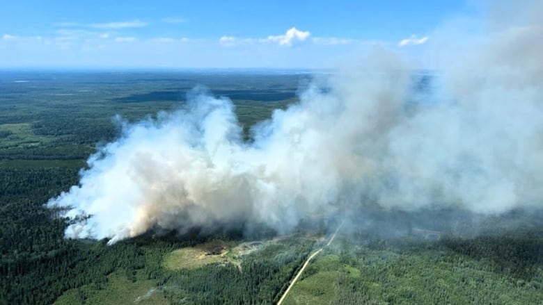 Aerial photo showing smoke rising from a forested area. 