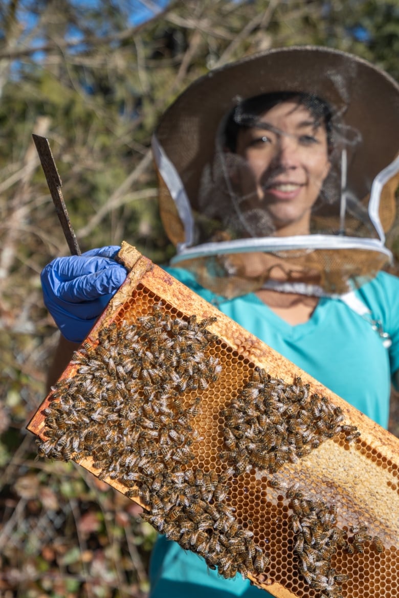 Alison McAfee wearing a beekeeper suit holding a section of honeycomb with bees on it.