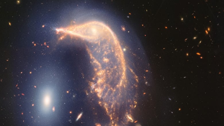 A bright penguin-shaped galaxy is seen with many smudges of galaxies in the background.