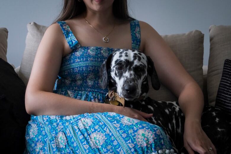 Kona, Raffaela's dalmation, on the couch. 