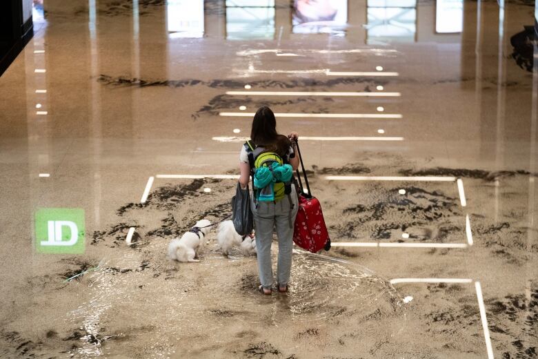 a person stands in water while carrying a bag.