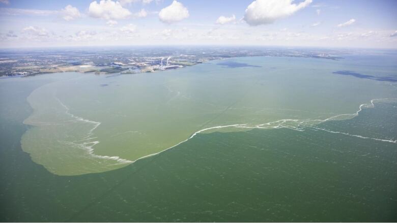 Algae western Lake Erie