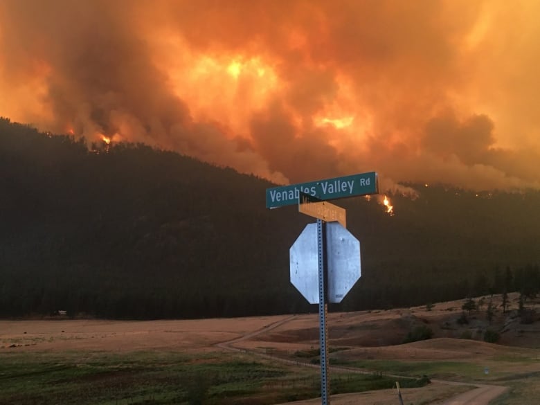 A road sign that says 'Venables Valley Rd' with flames in the hills in the background.