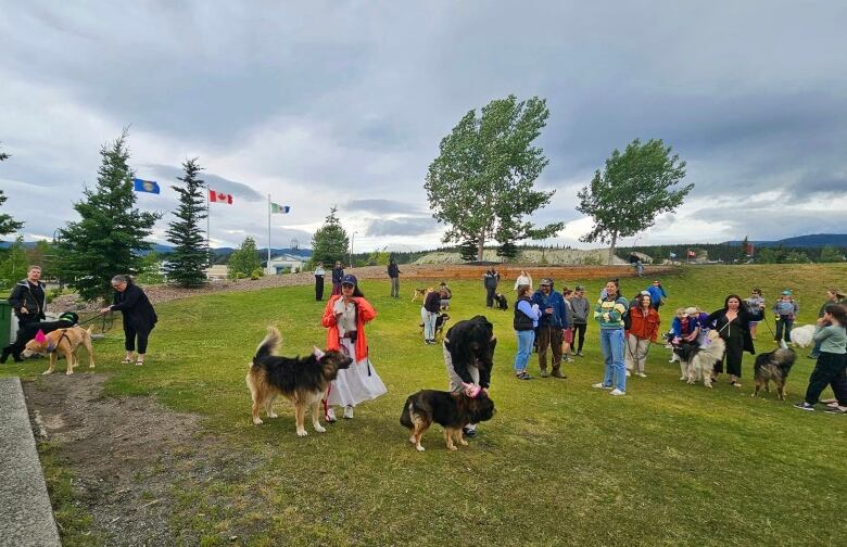 leashed dogs and people stand in a field