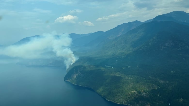 Tufts of smoke arise from a forested area next to a river.