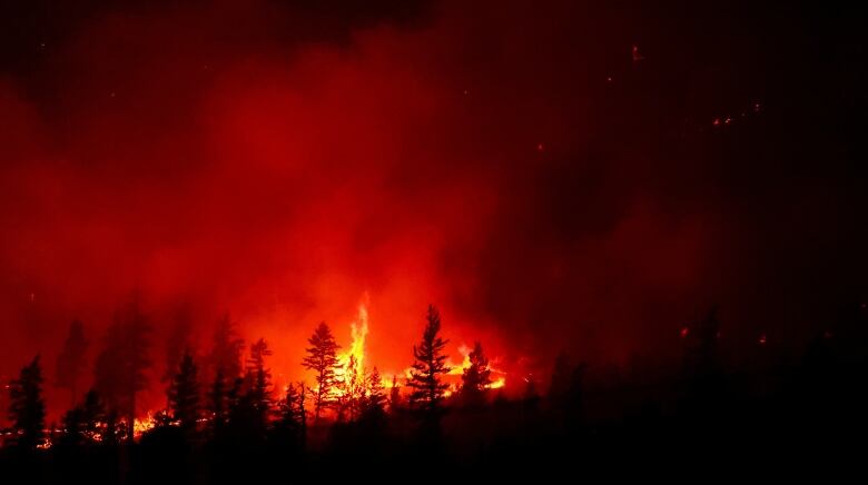 Red and orange flames rise from a forest on a dark night.