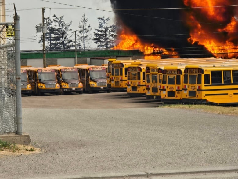 A line of yellow buses with a fire in the background.