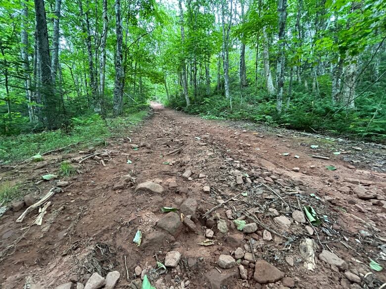 There have been multiple environmental assessments of the road as well as surveying, all in partnership with local watershed groups, says Mellish.