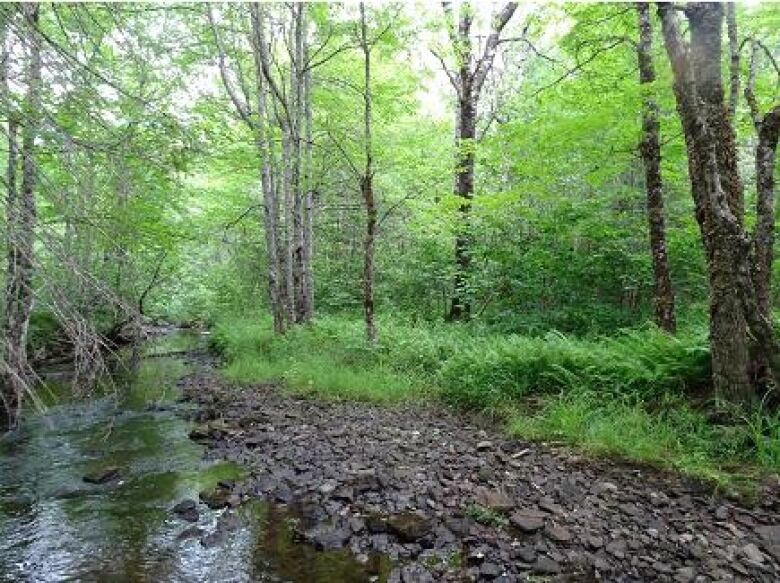 Landscape photo of the Chignecto Isthmus