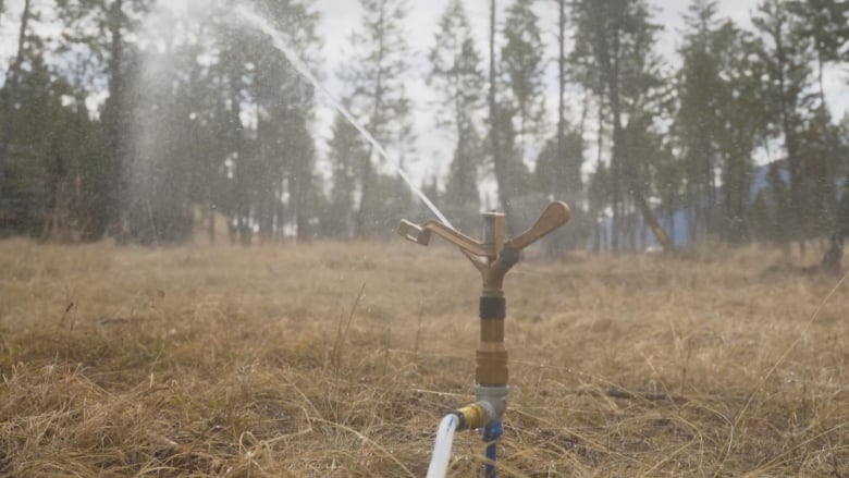 A sprinkler in a dry field .