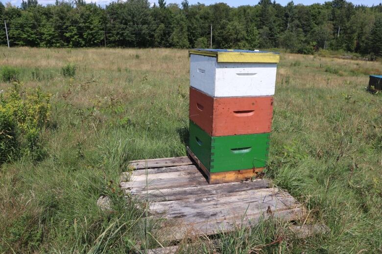 Three boxes stacked on top of eachother in a green field. Next to the tower, on a wooden pallet there are three empty spaces.