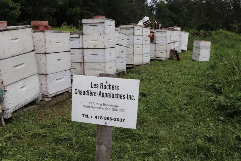 A sign that says Chaudires-Appalaches hives. In a field are dozens of bee hives