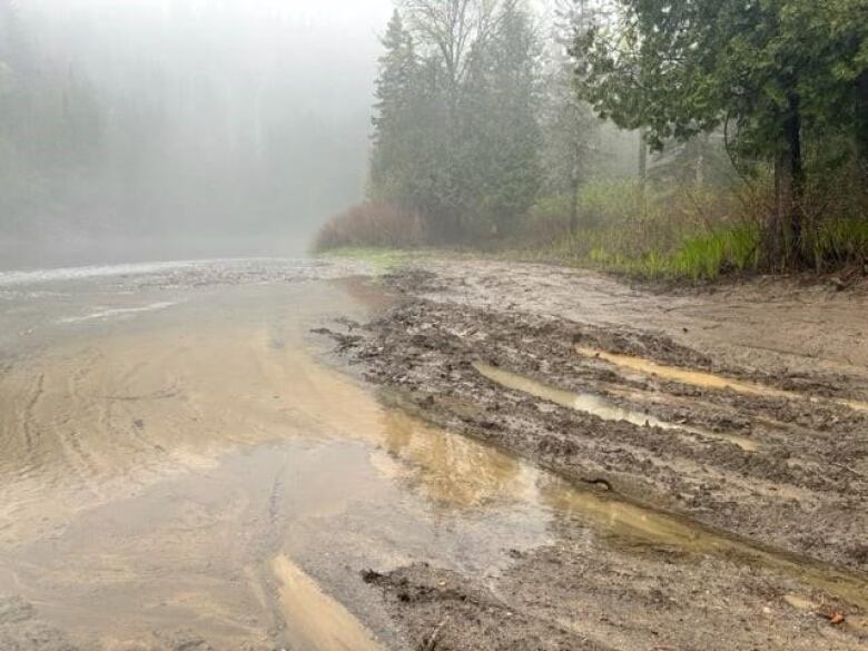 Car tracks in the mud next to the bank of a river