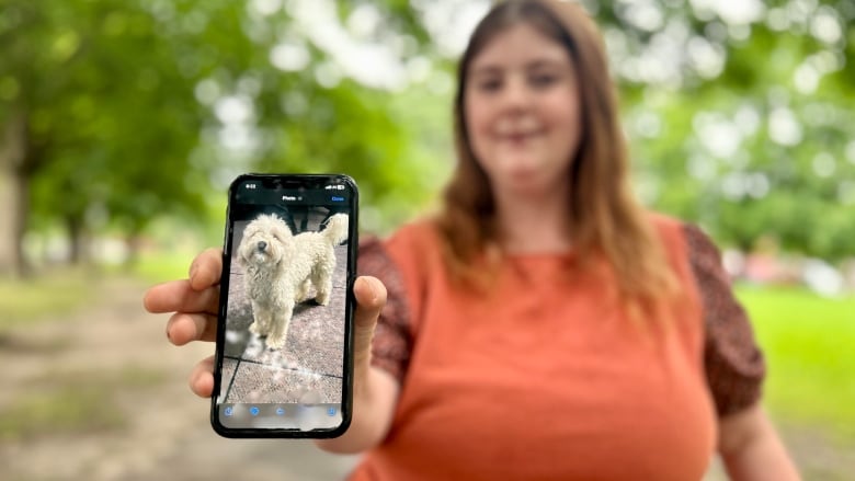 A woman holds a cellphone showing a photo of a white poodle.