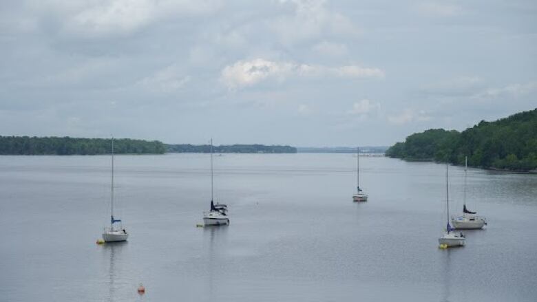 View of the Ottawa River at the NCC River House.