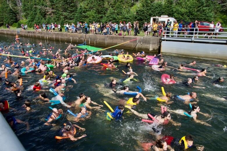 A photo shows a large group of swimmers in the canal for the Swim The Canal event.