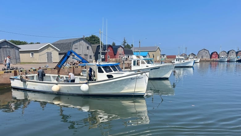 Several boats are tied to a dock with buildings in the background.