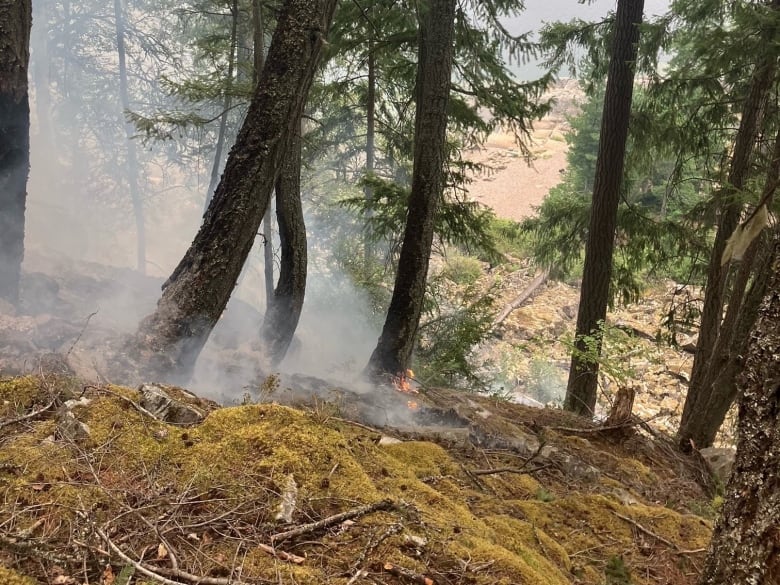 Flames and smoke arise from the ground near trees.