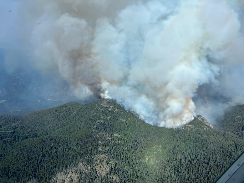 Plume of smoke on forest