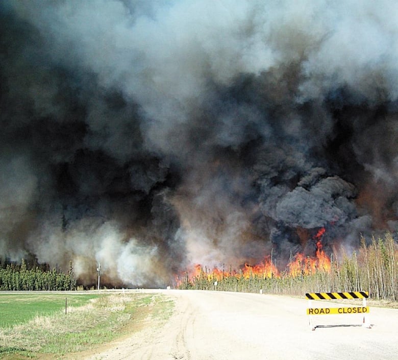 Black smoke blows from a forest on fire over a road with a sign saying Road Closed. 