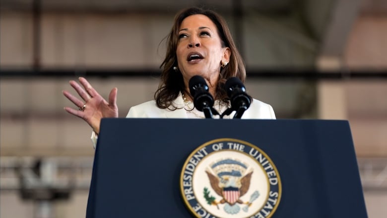 U.S. Vice President Kamala Harris, the Democratic presidential nominee, is seen speaking at a campaign rally in Romulus, Mich., on Wednesday.