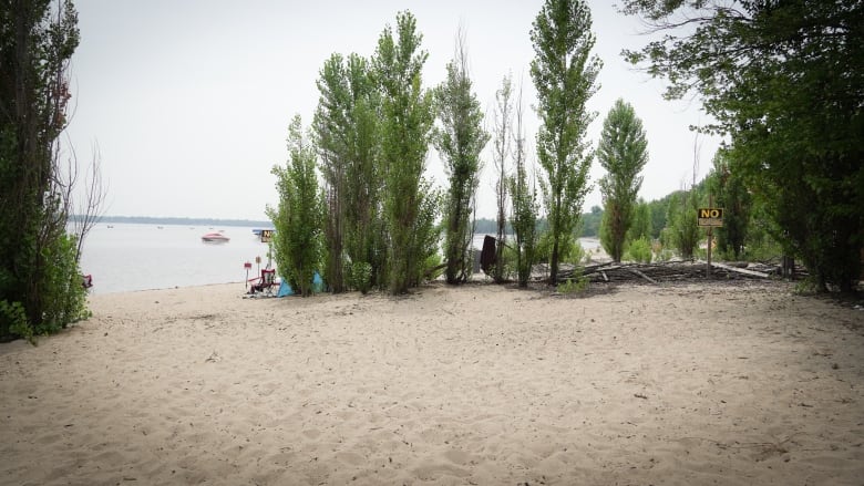 Wide shot of Constance Bay beach flanked by trees and 