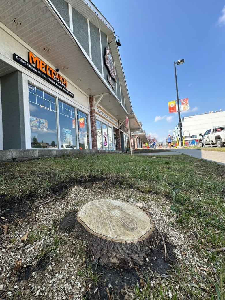 Close-up of a tree stump in front of a restaurant.