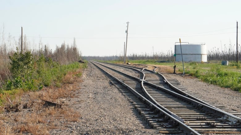 Train tracks along a line with trees 