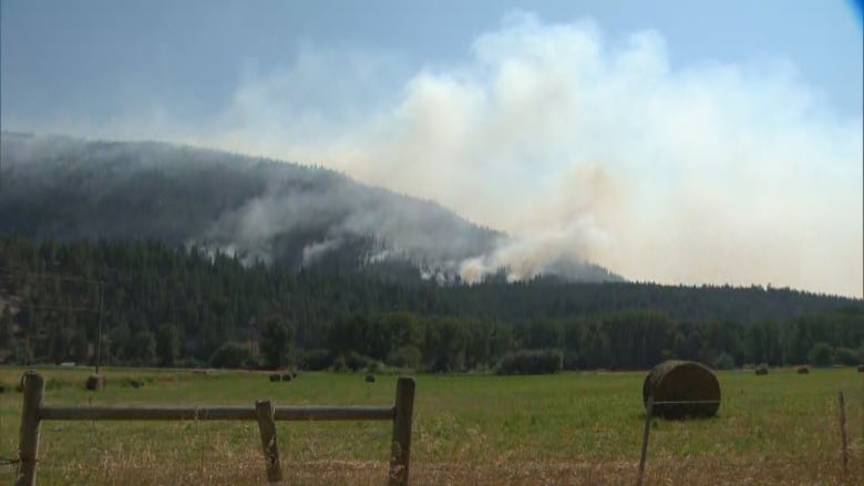 Smoke arises from hills, with a grassy field in the foreground.