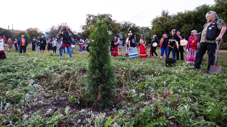 A newly-planted tree is seen in the ground, with a group of people encircling it.