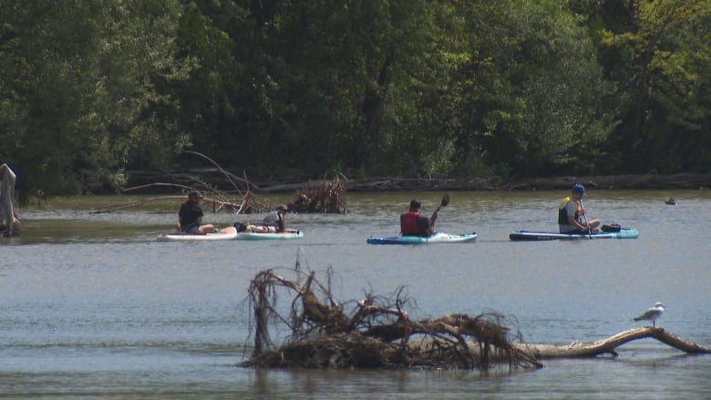 People kayak and paddle board in Mimico Creek.