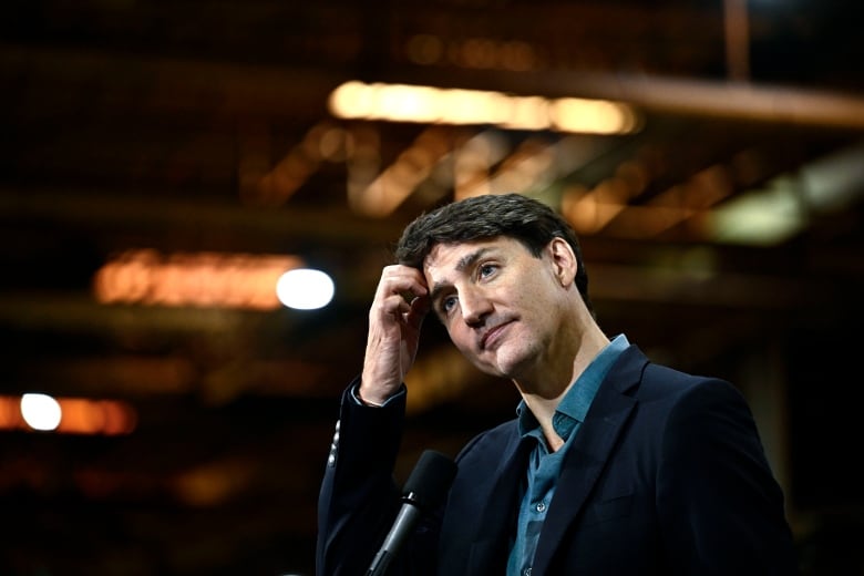 Prime Minister Justin Trudeau takes questions after an announcement at the Goodyear plant in Napanee, Ont., on Monday, Aug. 12, 2024.