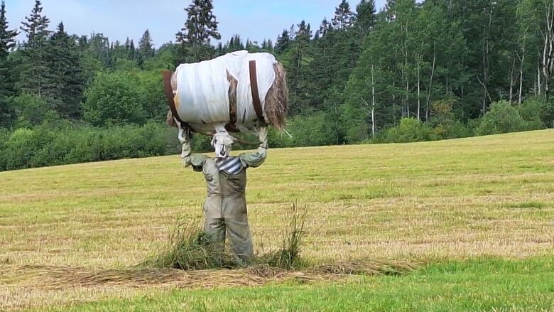 A scarecrow standing in a field holds up a bale of hay.