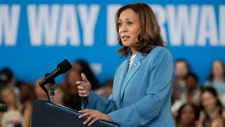 A person gestures while speaking into a microphone at a lectern as an audience is seen behind them.