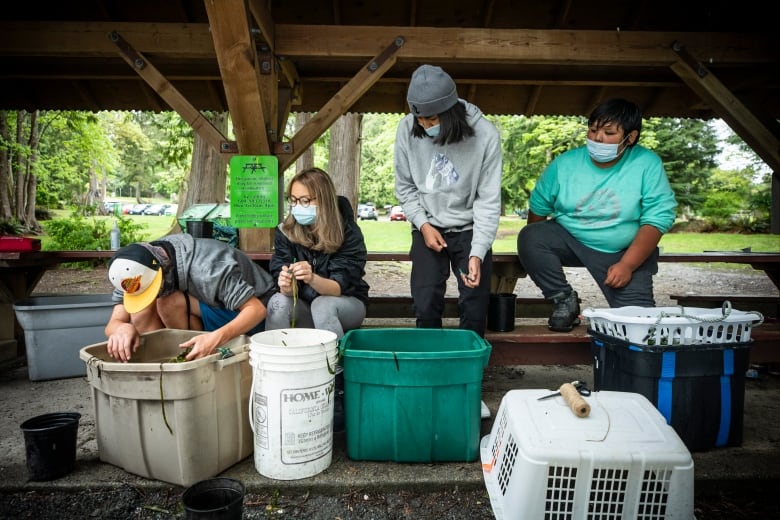 Four youngsters peek at a bunch of buckets in front of them.