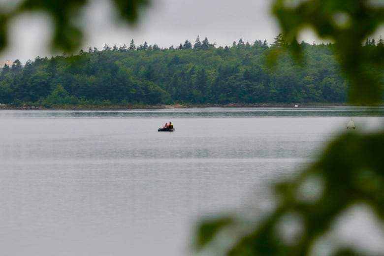 A dinghy boat is seen from far away on a lake with a wooded area in the background.