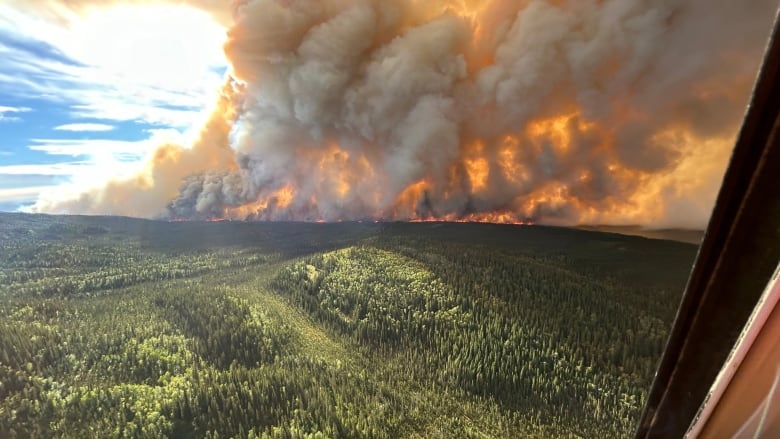 A large cloud of orange and grey smoke cloud over a green forest 