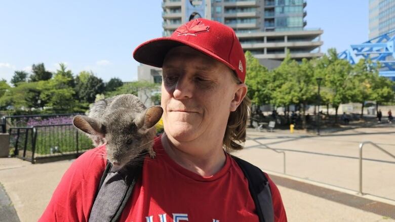 Man with a chinchilla on his shoulder